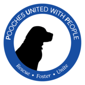 PUP Dog Rescue MN Thumbnail